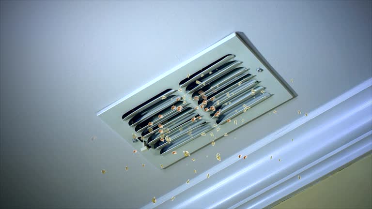Best HVAC Maintenance and Cleaning  in Pana, IL